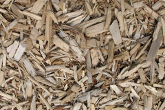 biomass boilers Ellerdine