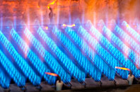 Ellerdine gas fired boilers